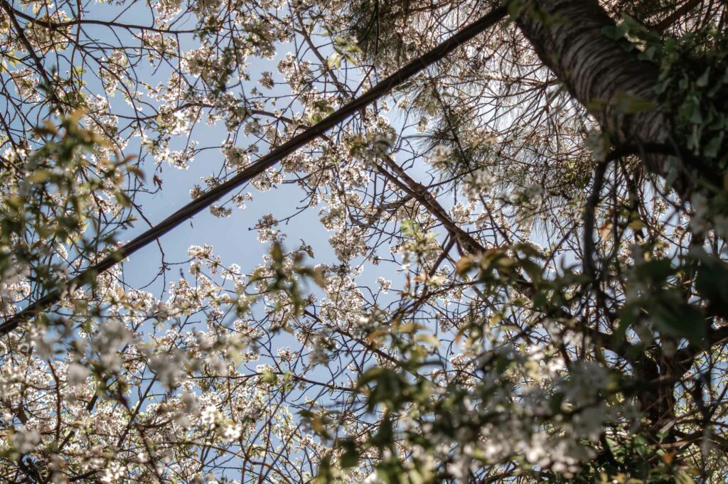 Fotografia przyrody - słońce