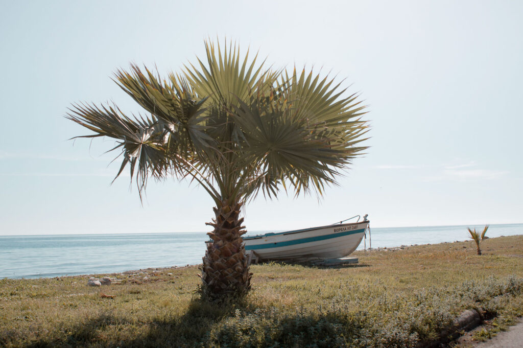 Dreamy look, fotografia wakacyjna