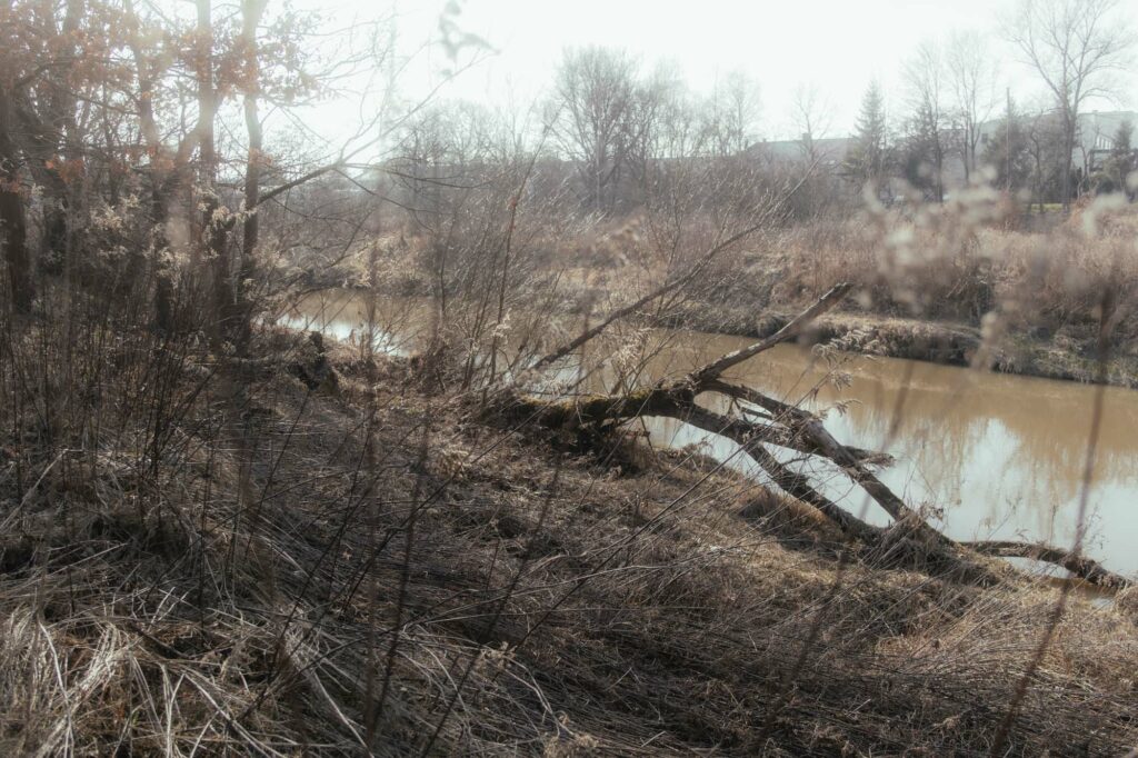 Fotografia przyrodnicza, Błonia skawińskie