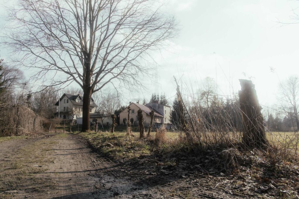 Fotografia przyrodnicza, park miejski w Skawinie