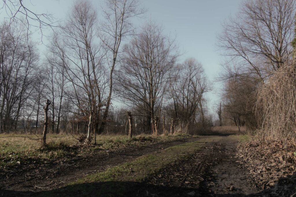 Fotografia przyrodnicza, Błonia skawińskie