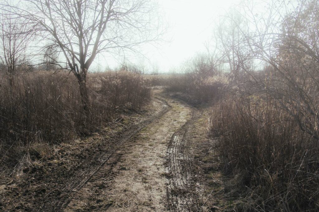 Fotografia przyrodnicza, Błonia skawińskie