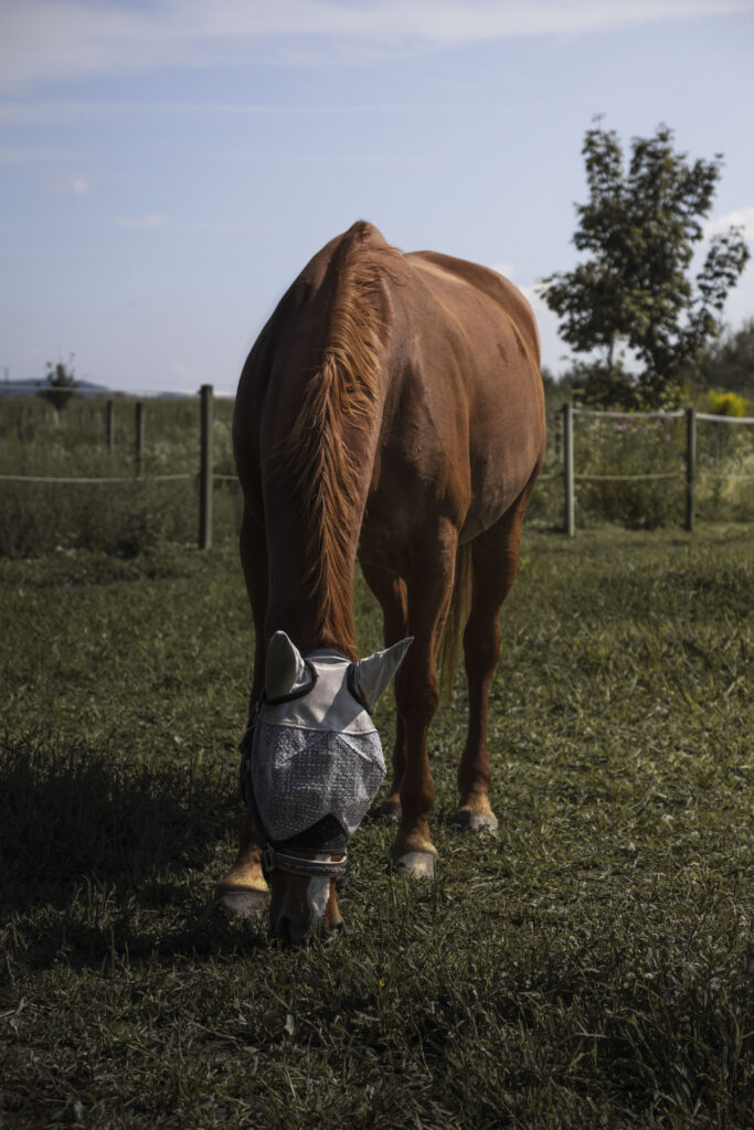 Fotografia artystyczna - Facimiech
