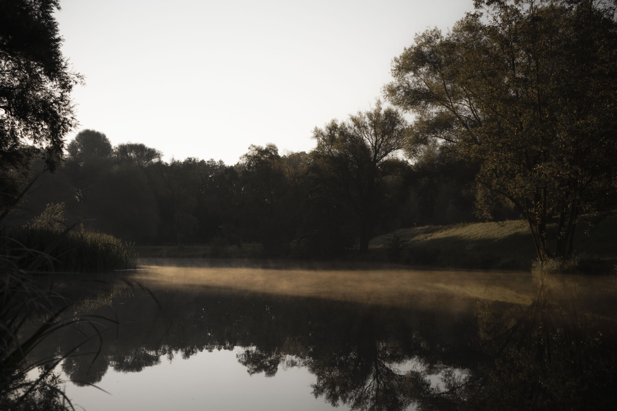 Strona główna Staw w Skawinie 1