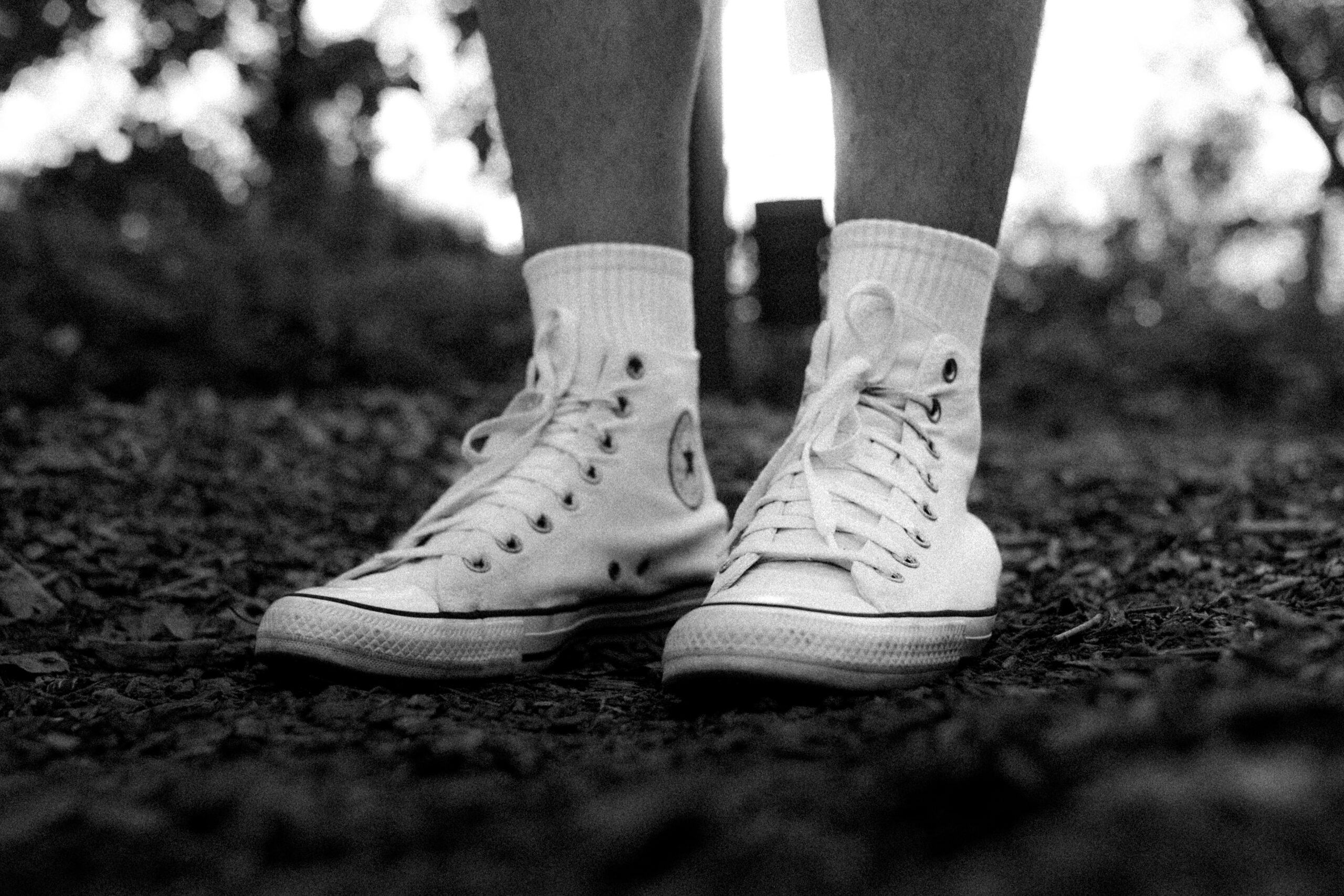 Szczegół, fotografia skawina, błonia